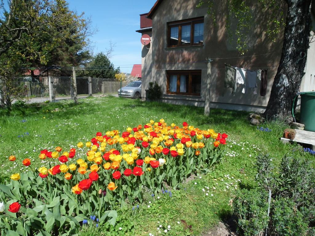 Wawrok * Pirna